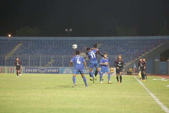 的需求和供 的需求和供