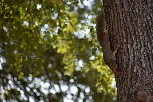 反映了其长 反映了其长