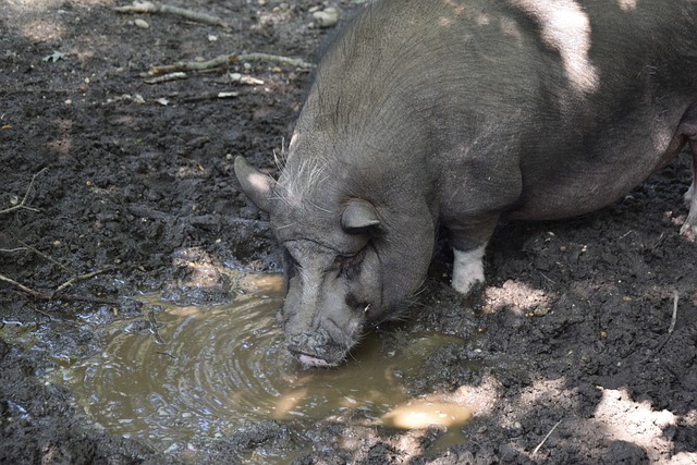 入了新的动 入了新的动