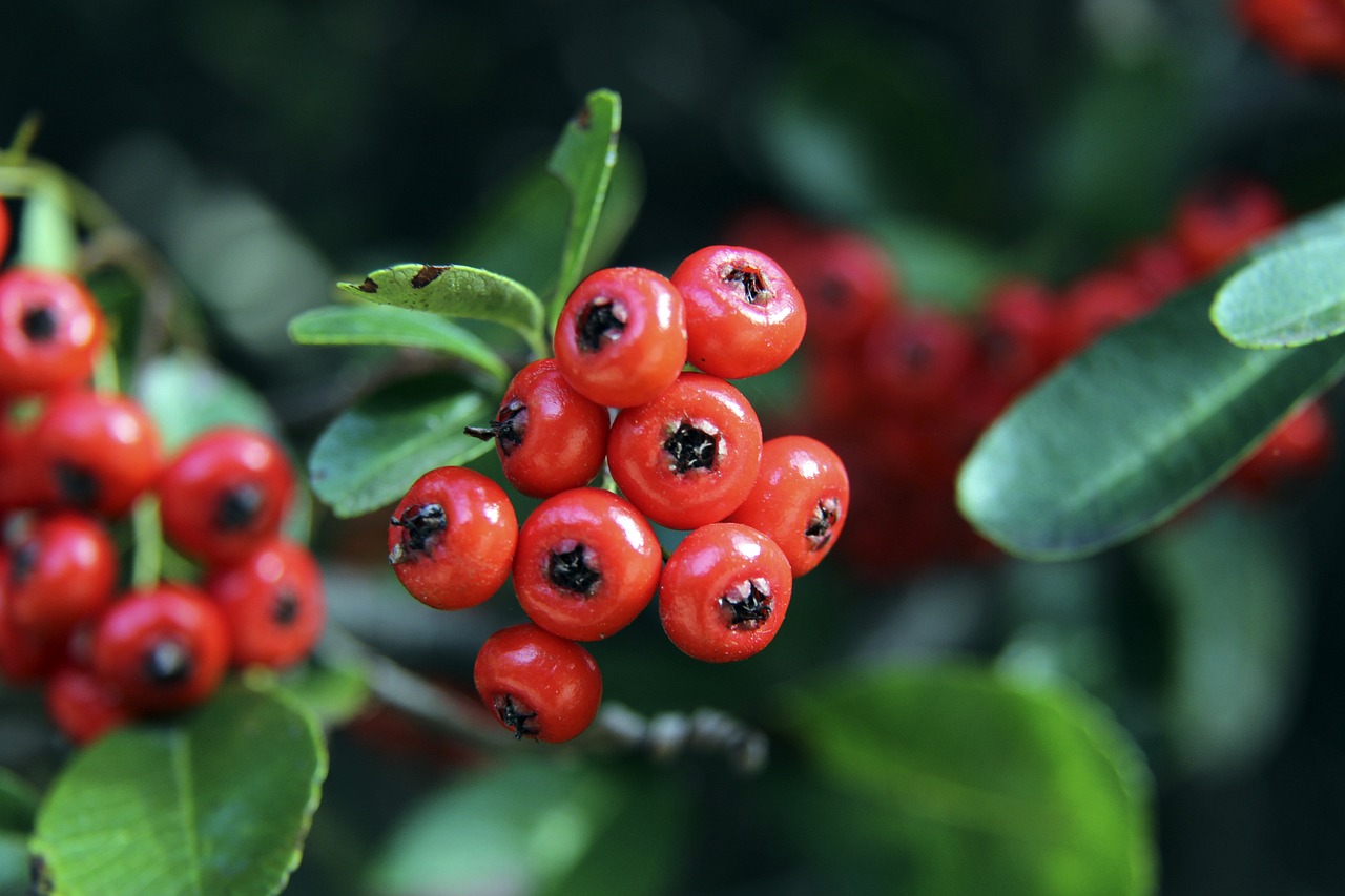 竞争和激情 竞争和激情