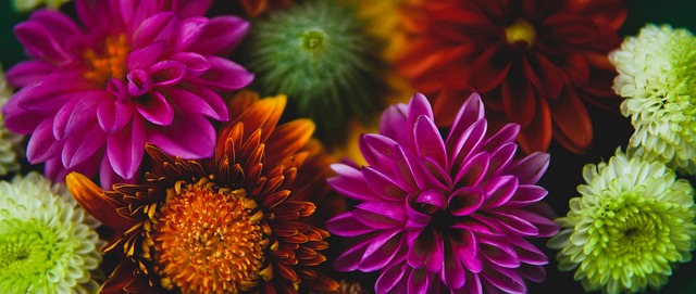 也让他们对 也让他们对